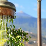 Med utsikt til Teide